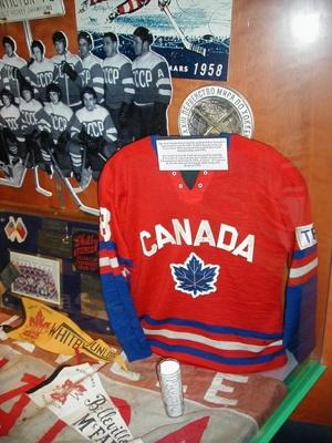 Toronto maple leaf hockey